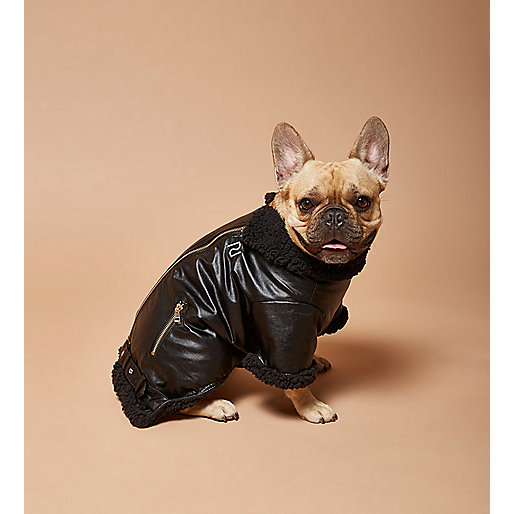 river island black friday offers,jacques-vertuk Site RI Dog black biker jacket Dog Clothing & Accessories women