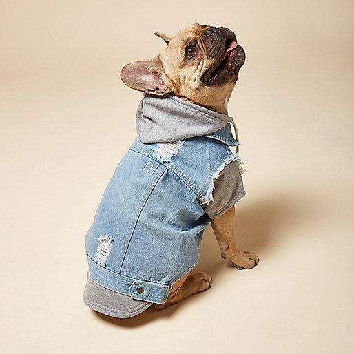 jacques-vertuk RI Dog light blue denim hoodie 707065 women Dog Clothing & Accessories